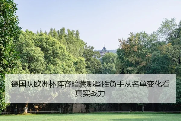 德国队欧洲杯阵容暗藏哪些胜负手从名单变化看真实战力